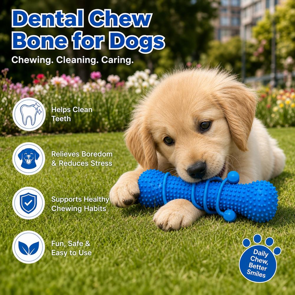 강아지용 치아 발육기용 씹는 장난감, 플라스틱 뼈 모양 - Teeth Cleaning Dog Chew Bone 리뷰 및 가격